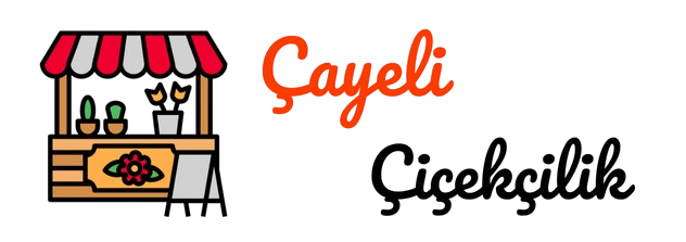 ÇAYELİ Çiçekçilik Rize | 0539 470 4053 | YEREL ÇİÇEKÇİ