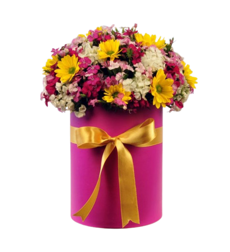 Silindir Kutuda Renkli Papatya Aranjmanı